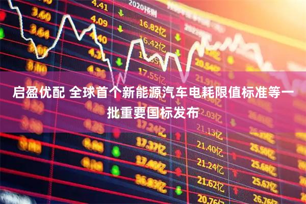 启盈优配 全球首个新能源汽车电耗限值标准等一批重要国标发布