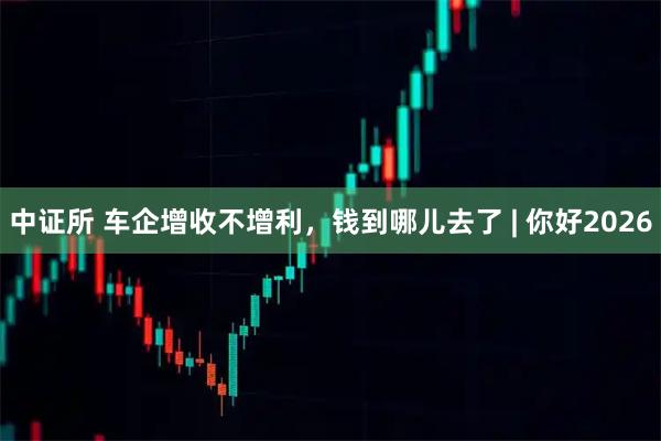 中证所 车企增收不增利，钱到哪儿去了 | 你好2026