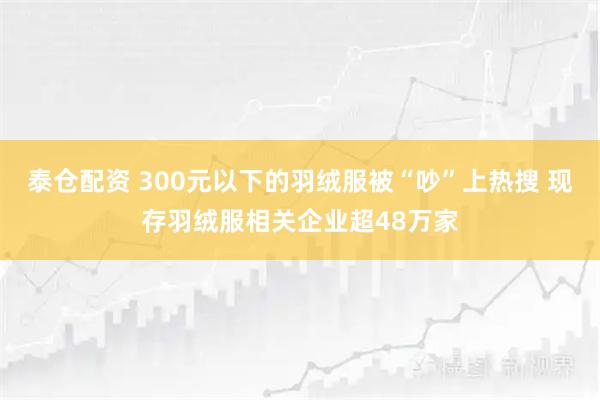 泰仓配资 300元以下的羽绒服被“吵”上热搜 现存羽绒服相关企业超48万家